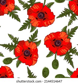 Seamless pattern with hand drawn wild red poppy flowers isolated on white background.