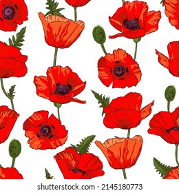 Seamless pattern with hand drawn wild red poppy flowers isolated on white background.