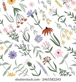 Seamless pattern with hand drawn wild flowers on white background