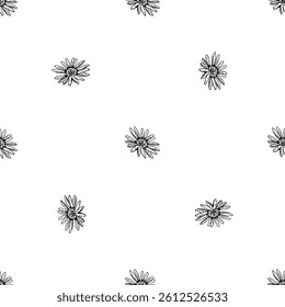Seamless pattern with hand drawn wildflower heads in black and white. Ideal for fabric, packaging, tea, natural cosmetics, wedding design, herbal products, or eco-friendly branding.