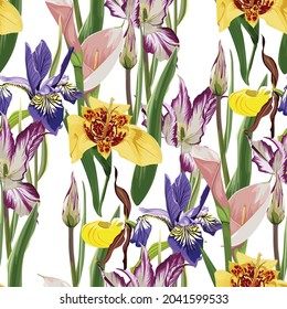 Seamless pattern with hand drawn yellow tigridia, tulips and irys flowers on white background.