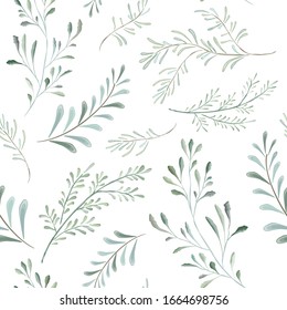 Seamless pattern. Hand painted watercolor foliage, light green leaves, herbs, plants. 