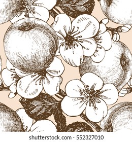 Seamless pattern with hand-drawn Apricot. Vector.