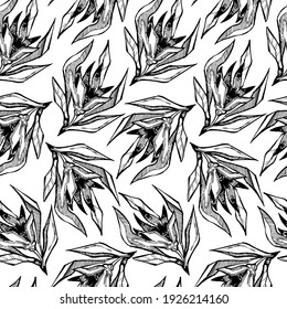 Patrón inmaculado con flores decorativas dibujadas a mano. Antecedentes para el diseño de textiles, afiches, postales, envoltura de regalo.