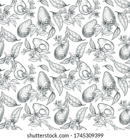 Seamless pattern with hand-drawn fruits and avocado flowers.