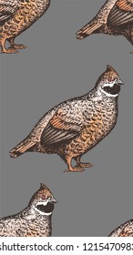 Seamless pattern with hand-drawn hazel grouse silhouettes on grey background. Idea of package paper or fabric. Vector.