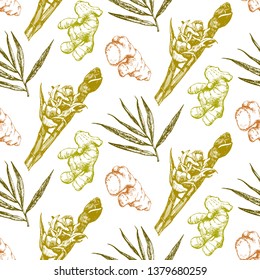 Seamless Pattern. Hand-drawn illustration of Ginger. Vector