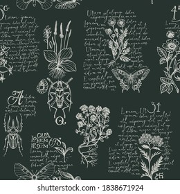 Seamless pattern with hand-drawn medicinal herbs, beetles, butterflies and handwritten text Lorem Ipsum. Vector repeatable background in retro style. Wallpaper, wrapping paper, textile