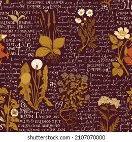 Seamless pattern with hand-drawn medicinal herbs and handwritten text Lorem Ipsum on brown backdrop. Colored vector background on the theme of herbal medicine. Retro wallpaper, wrapping paper, fabric