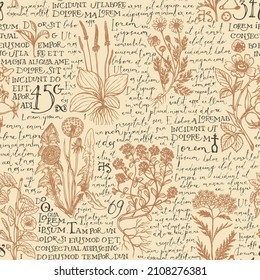 Seamless pattern with hand-drawn medicinal herbs and handwritten text Lorem Ipsum on a beige backdrop. Vector background on the theme of herbal medicine. Retro wallpaper, wrapping paper, fabric design