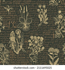 Seamless pattern with hand-drawn medicinal herbs and handwritten text Lorem Ipsum on a dark backdrop. Retro wallpaper, wrapping paper, fabric design. Vector background on the theme of herbal medicine