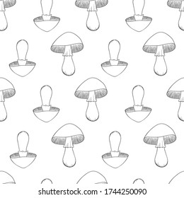 Seamless pattern with hand-drawn mushrooms isolated on white background. Vector illustration