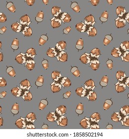 Seamless pattern with with hand-drawn nuts and acorns on gray background. Healthy diet. Modern background for packaging, ads, labels and other designs. Vector illustration