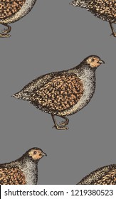 Seamless pattern with hand-drawn 
partridge silhouettes on grey background. Vector.