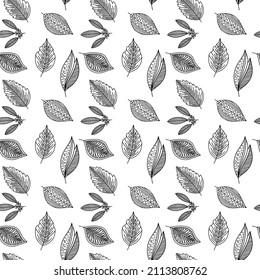 Seamless pattern of hand-drawn plant branches and leaves. Vector floral doodle style for background, textile, design.