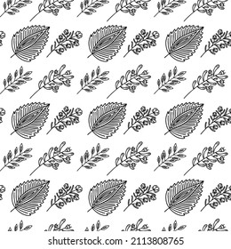 Seamless pattern of hand-drawn plant branches and leaves. Vector floral doodle style for background, textile, design.