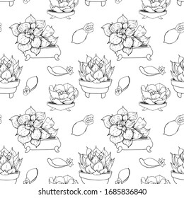 Seamless pattern of hand-drawn succulents and cactus in flower pots. Linear outline vector succulents and cacti on a white background. For wrappers, textiles, wallpapers