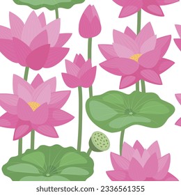 Patrón sin foco de loto de flores tropicales dibujadas a mano. Ilustración botánica vectorial.
