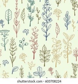 Seamless pattern with handdrawn vector doodle herbs and flowers