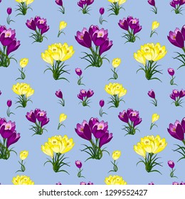 Seamless pattern with hand-painted crocuses of yellow and purple. Isolated on a blue background. Background with spring wild flowers. Vector eps 10
