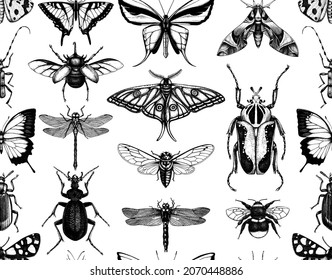 Seamless pattern with hand-sketched insects. Hand-drawn beetles, bugs, butterflies, dragonflies, cicada, moths, bee illustrations. Vintage style backdrop. Entomological vector background. Vintage art