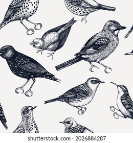 Seamless pattern with hand-sketched wild birds illustrations in engraved style. Passerine Birds background in color. Wildlife elements backdrop. For textile, wrapping paper, packaging, banners.