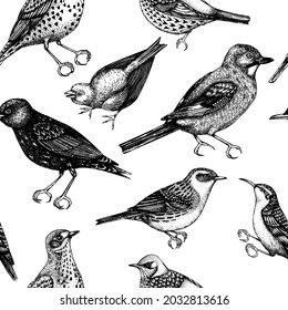 Seamless pattern with hand-sketched wild birds illustrations in engraved style. Passerine Birds on white background. Wildlife elements backdrop. For textile, wrapping paper, packaging, banners.