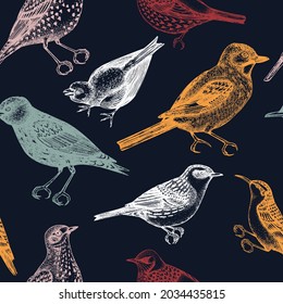 Seamless pattern with hand-sketched wild birds illustrations in engraved style. Passerine Birds background in color. Wildlife elements backdrop. For textile, wrapping paper, packaging, banners.