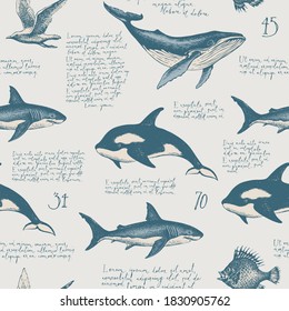 Seamless pattern with handwritten latin text Lorem ipsum, hand-drawn fishes and other sea inhabitants. Vector background in vintage style, suitable for wallpaper, wrapping paper, fabric