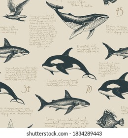 Seamless pattern with handwritten latin text Lorem ipsum, hand-drawn fishes and other sea inhabitants. Vector background in vintage style, suitable for wallpaper, wrapping paper, fabric
