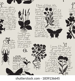 Seamless pattern with handwritten text Lorem Ipsum and black silhouettes of medicinal herbs and insects. Vector hand-drawn background, suitable for wallpaper, wrapping paper, textile