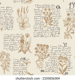 Seamless pattern with handwritten text Lorem Ipsum and hand-drawn medicinal herbs on an old paper. Repeating vector background on the theme of herbal medicine. Retro wallpaper, wrapping paper, fabric