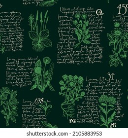Seamless pattern with handwritten text Lorem Ipsum and hand-drawn medicinal herbs on a black backdrop. Vector background on the theme of herbal medicine. Retro wallpaper, wrapping paper, fabric