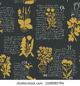 Seamless pattern with handwritten text Lorem Ipsum and yellow silhouettes of medicinal herbs on a black. Vector background on theme of herbal medicine in retro style. Wallpaper, wrapping paper, fabric