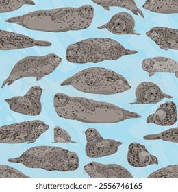 Seamless pattern with harbor seals and their pups. Wild animals of the northern hemisphere. Realistic pinned animal