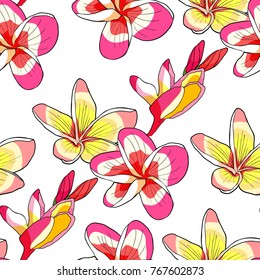 seamless pattern Hawaiian plumeria flower an exotic . vector illustration