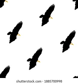  Seamless pattern with Hawk.Birds of prey on white background.