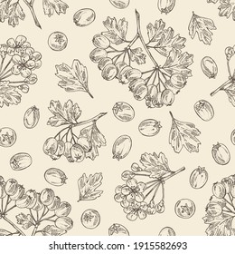 Seamless pattern with hawthorn: hawthorn branch with flowers, leaves and berries. Crataegus berries. Cosmetics and medical plant. Vector hand drawn illustration. 