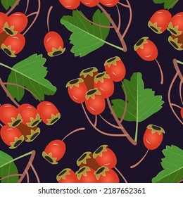 Seamless pattern with  hawthorn on dark background. Vector illustration for background, print, textile...