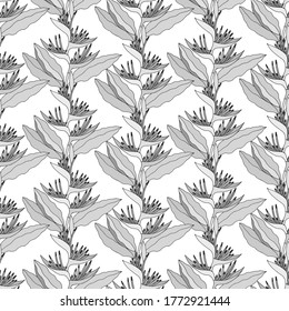 Seamless pattern of Heliconium plant. EPS10 vector illustration. Hand drawing. 