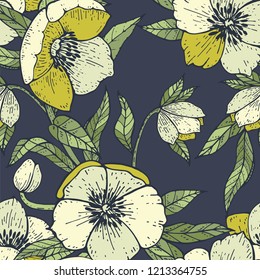  Seamless pattern with Hellebore. Botanical vector illustration