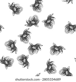 seamless pattern helleborus hellebore hand drawn. hellebores primrose, sketch line, engraved plant helleborus hellebore black sketch illustration