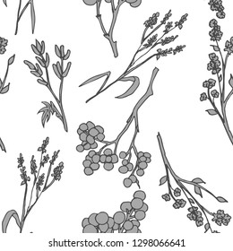 Seamless pattern with herb plant. Herbarium flowers and leaves. White background. Botanical pattern. Stylish illustration. For wrapping paper, wallpaper, fabrics, cloth, home decor.