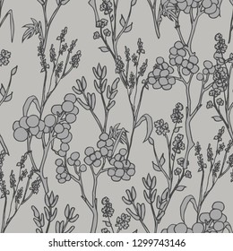 Seamless pattern with herb plant. Herbarium flowers and leaves. Botanical pattern. Stylish illustration. For wrapping paper, wallpaper, fabrics, cloth, home decor.