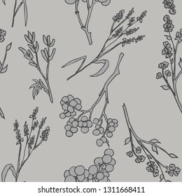 Seamless pattern with herb plant. Herbarium flowers and leaves. Gray background. Botanical pattern. Stylish illustration. For wrapping paper, wallpaper, fabrics, cloth, home decor.