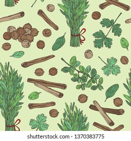 Seamless pattern with herb and spices: tarragon, coriander, cinnamon and marjoram . Vector hand drawn illustration.