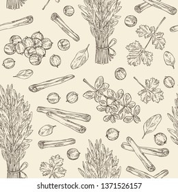 Seamless pattern with herb and spices: tarragon, coriander, cinnamon and marjoram . Vector hand drawn illustration.