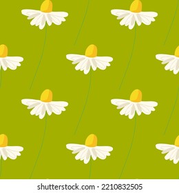 Seamless pattern with herbal chamomile illustration on yellow green background