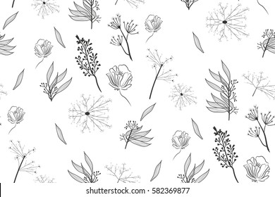 seamless pattern herbs