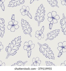 Seamless pattern herbs. Ball pen verbena vector background. Sketch medicinal herbs seamless texture. Inky verbena vector. Hand drawn illustration for print, decoration, design, label, web, wrapping